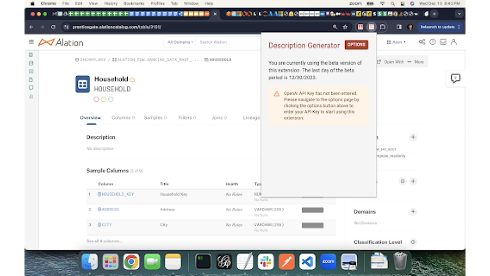 Alation ChatGPT Description Generator Extension - Chrome Extensi