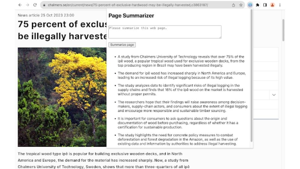 Page Summarizer - Chrome Extension