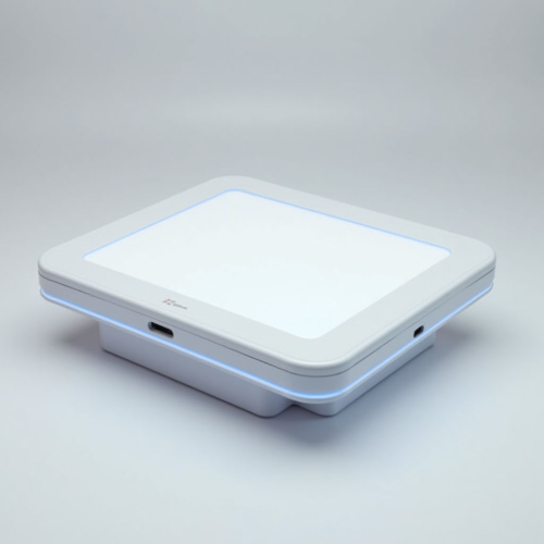 Автоматизация динамического получения библейских текстов через интеграцию с API